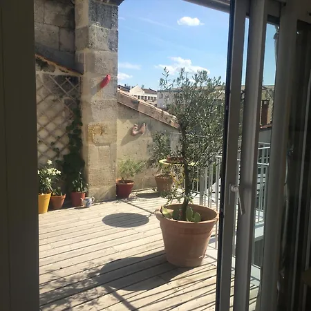 La Canopee